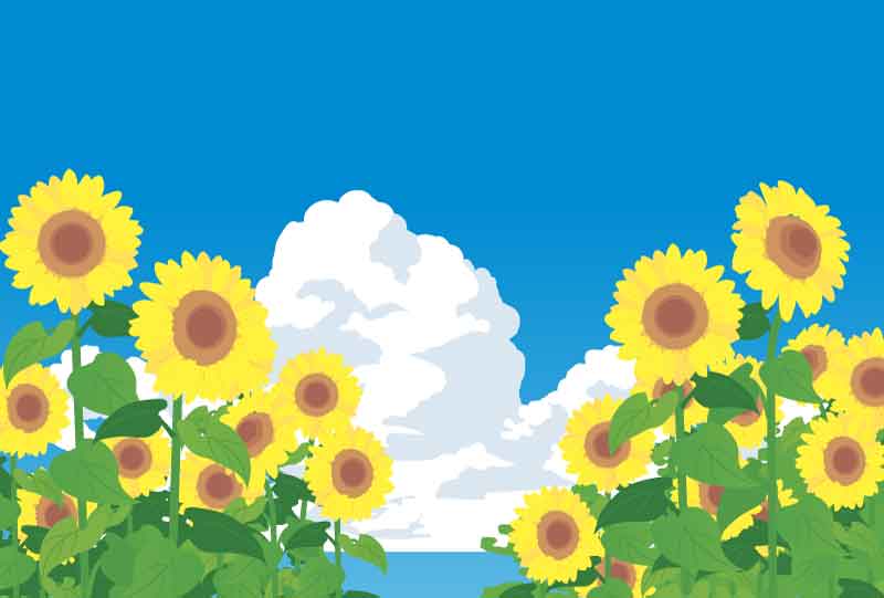 お知らせ:みんな大好き! 夏休み到来!! お盆期間中のコム・ストーリー営業について